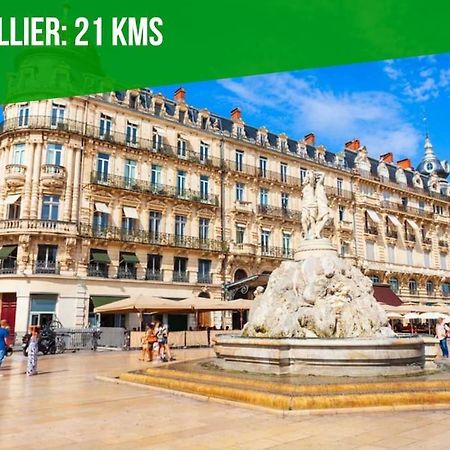 Le Palais Maya - Lumineux - Wifi La Grande-Motte Kültér fotó