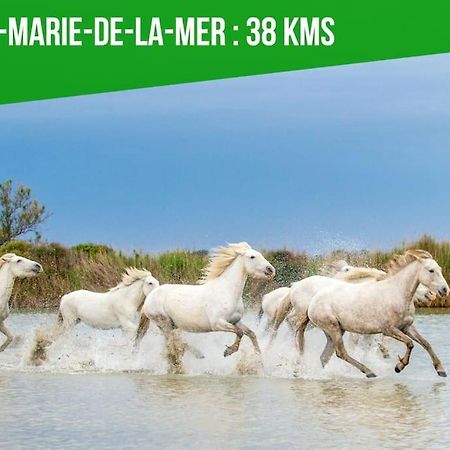 Le Palais Maya - Lumineux - Wifi La Grande-Motte Kültér fotó