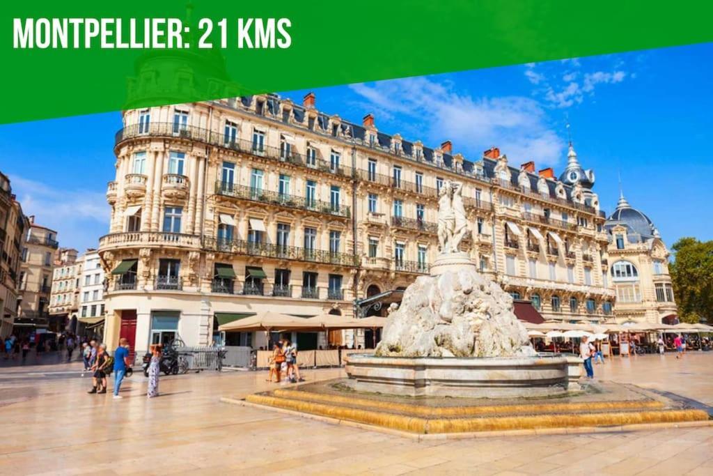 Le Palais Maya - Lumineux - Wifi La Grande-Motte Kültér fotó